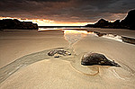 South Coast portfolio