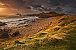 West Coast portfolio