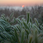 Visions Gallery portfolio